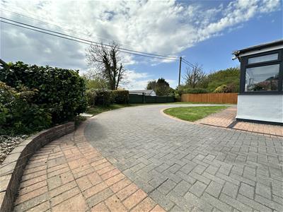 Picture 12